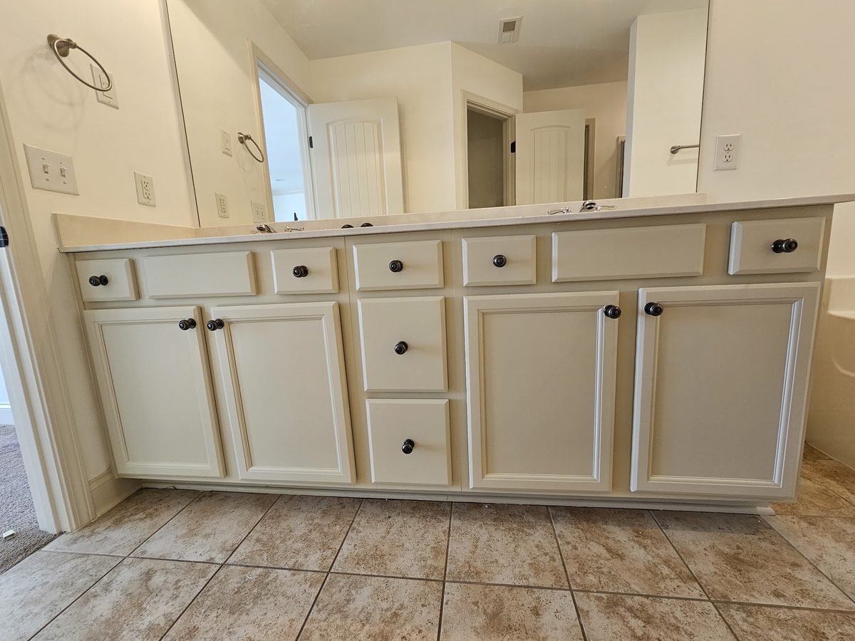 Painted bathroom vanity cabinetry